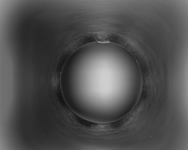 X0000088360129200705291315