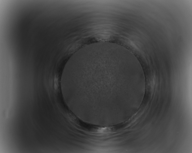 X0000088360130200705291315