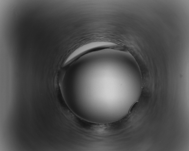 X0000088360131200705291315