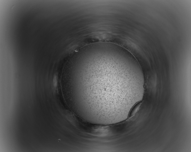 X0000088360132200705291315