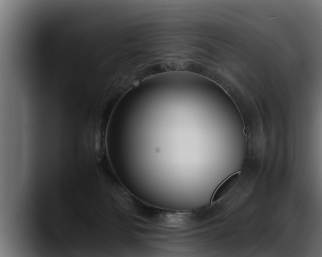 X0000088360134200705291315