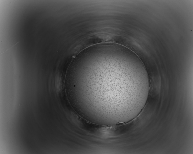 X0000088360136200705291315