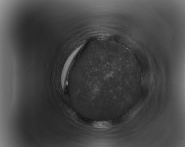 X0000088360137200705291315