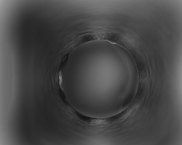 X0000088360139200705291315