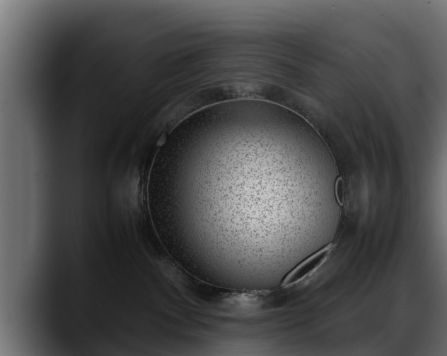 X0000088360140200705291315