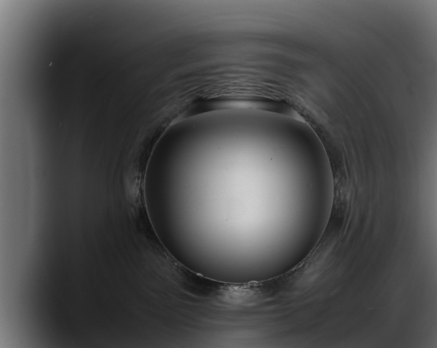 X0000088360141200705291315