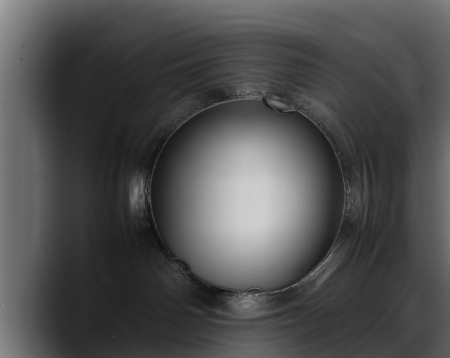 X0000088360142200705291315