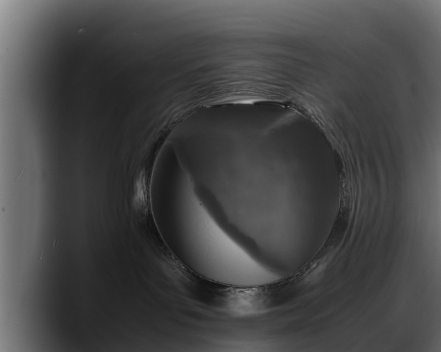 X0000088360143200705291315