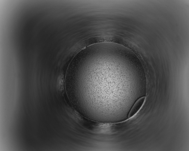 X0000088360144200705291315