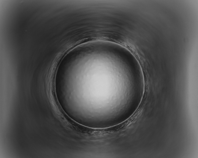 X0000088360145200705291314