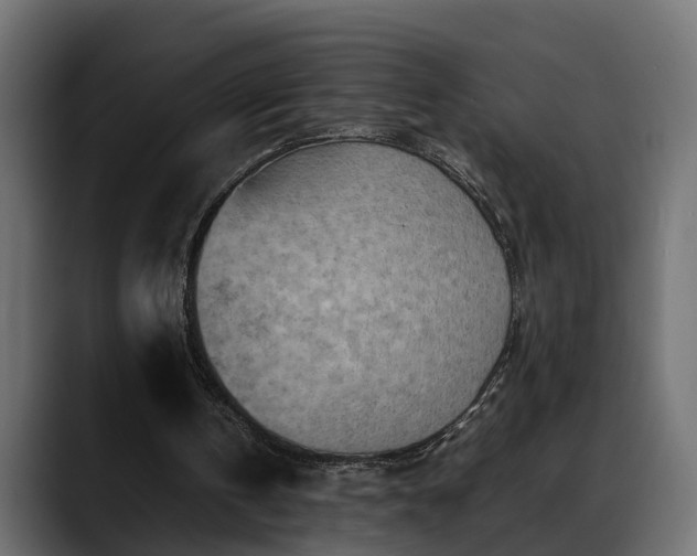 X0000088360146200705291314