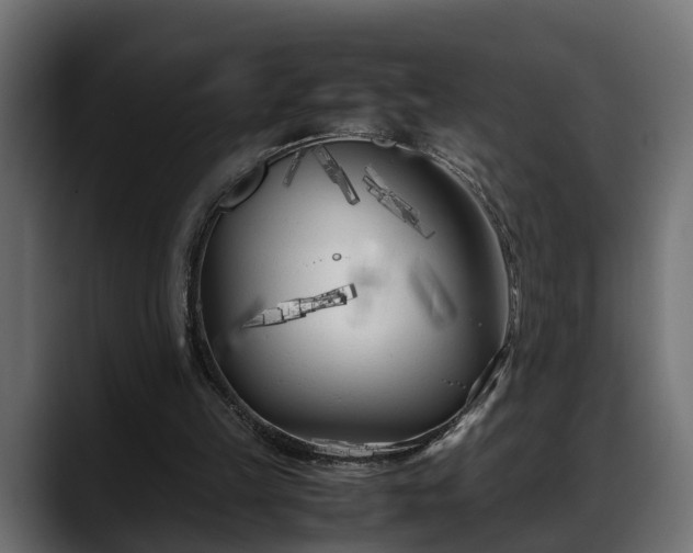 X0000088360149200705291314