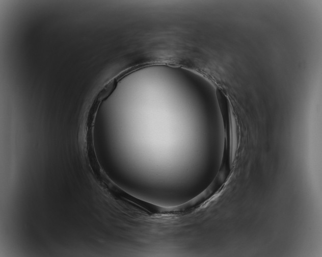 X0000088360150200705291314