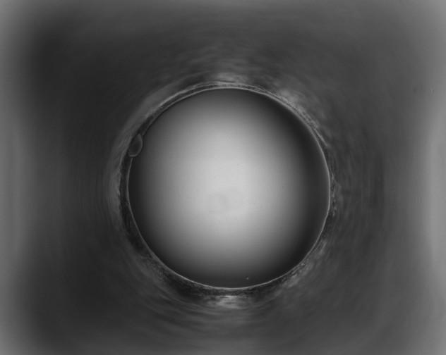 X0000088360151200705291314