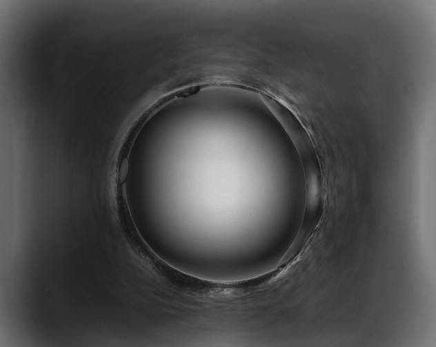 X0000088360152200705291314