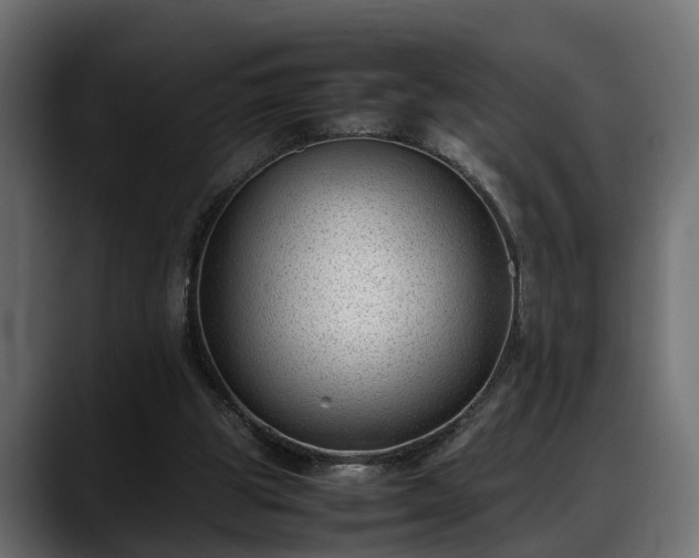 X0000088360153200705291314