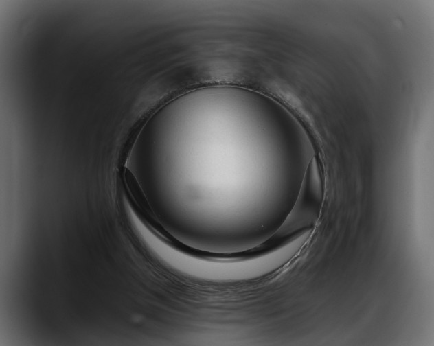 X0000088360154200705291314