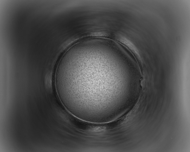 X0000088360155200705291314