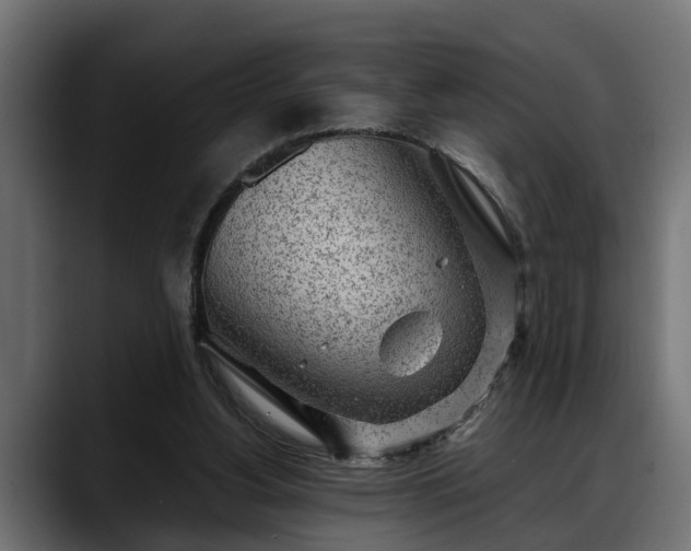 X0000088360156200705291314