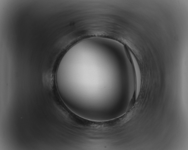 X0000088360160200705291314