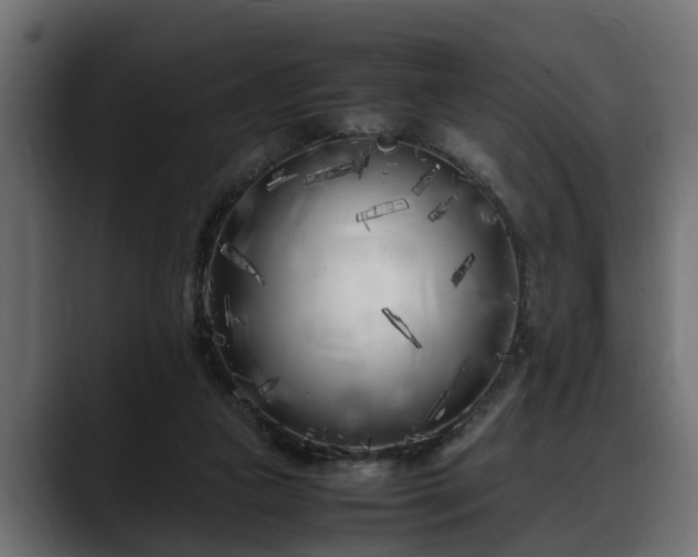 X0000088360161200705291314