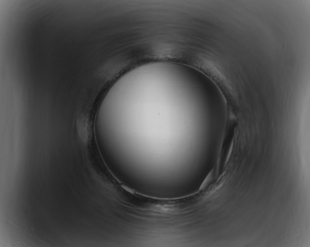 X0000088360164200705291314