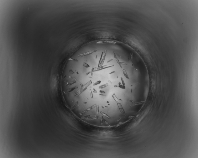 X0000088360165200705291314