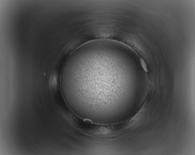 X0000088360166200705291314