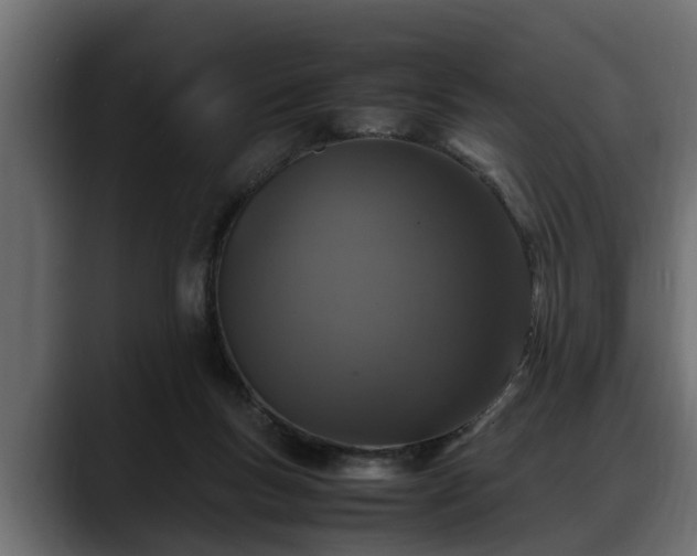 X0000088360167200705291314