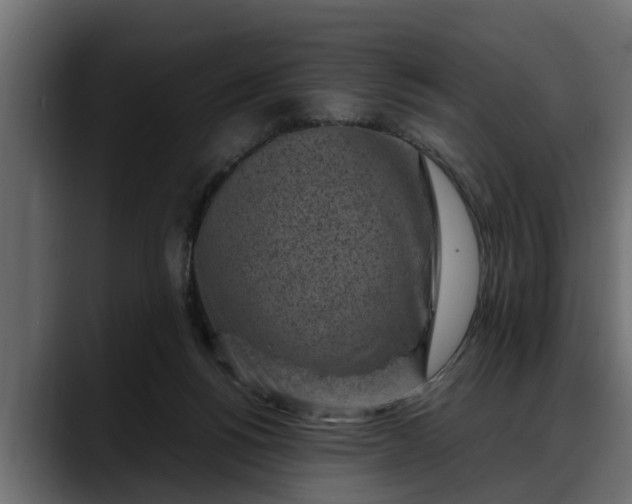 X0000088360168200705291314