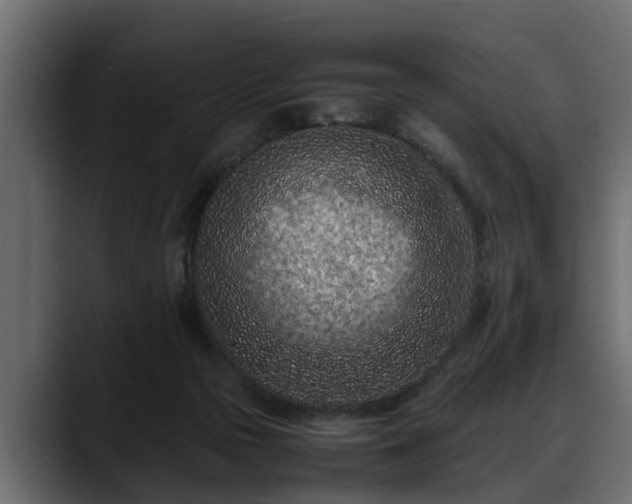 X0000088360169200705291314