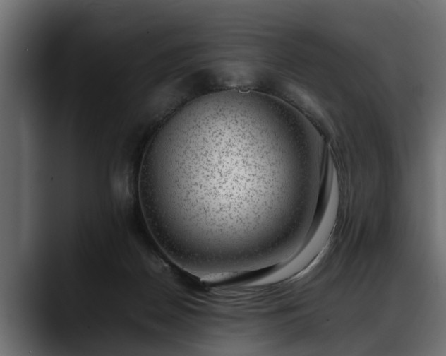 X0000088360170200705291314