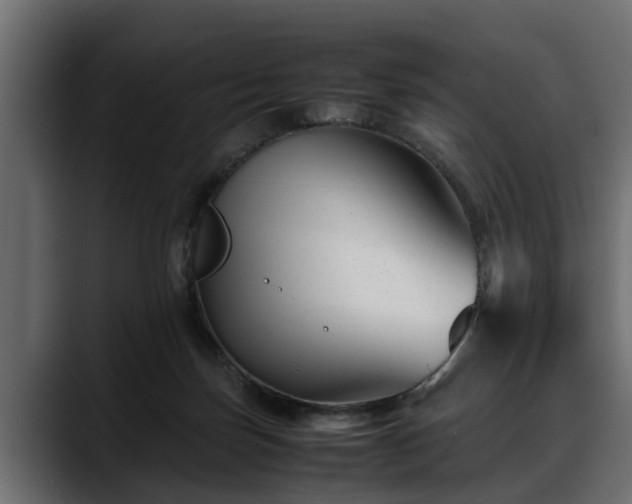 X0000088360171200705291314