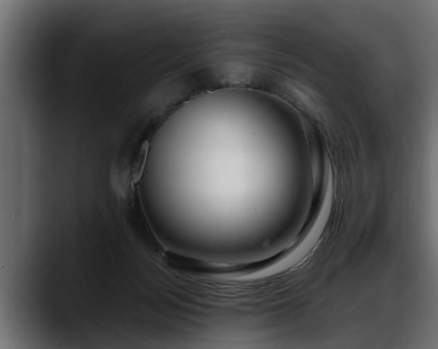 X0000088360172200705291314