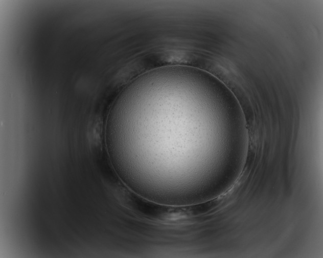 X0000088360175200705291314