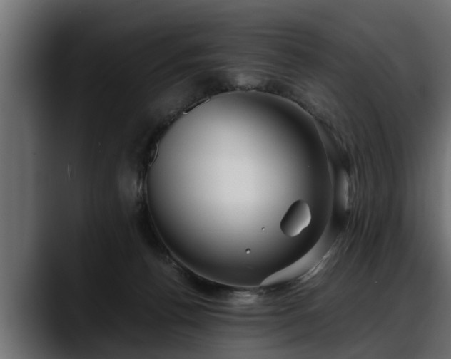 X0000088360176200705291314