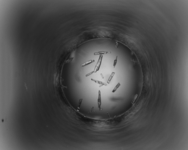 X0000088360177200705291314