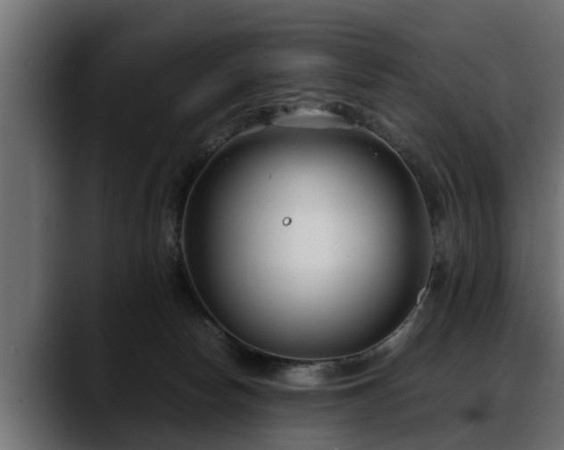 X0000088360178200705291315