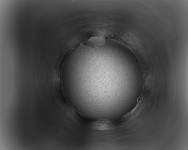 X0000088360179200705291315