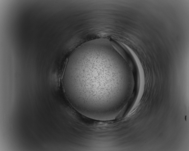 X0000088360180200705291315