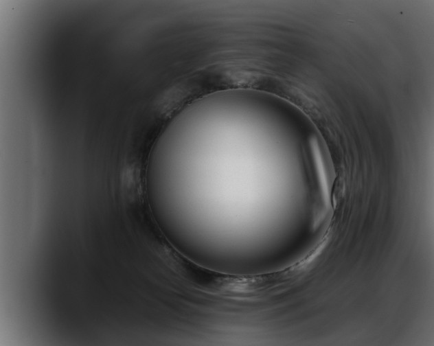 X0000088360182200705291315