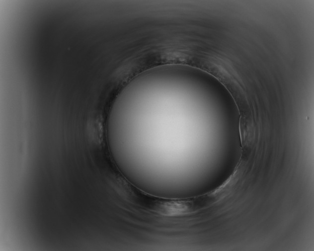 X0000088360183200705291315