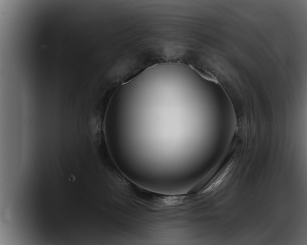 X0000088360184200705291315