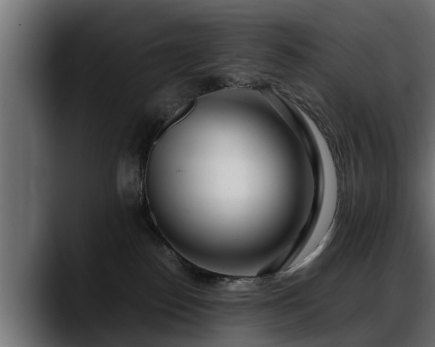 X0000088360186200705291315