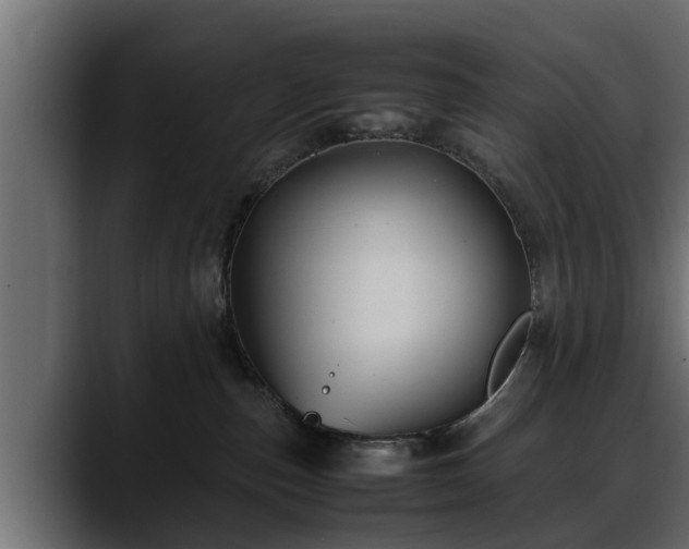 X0000088360187200705291315