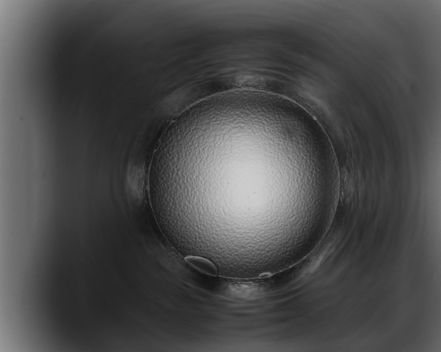 X0000088360189200705291315