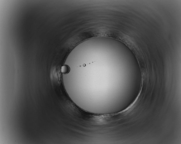 X0000088360190200705291315