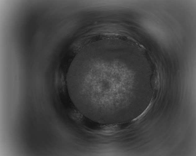 X0000088360191200705291315