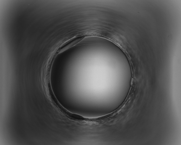 X0000088360193200705291314