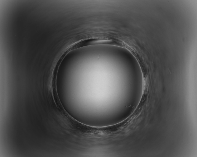 X0000088360195200705291314